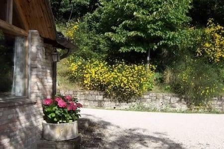 Localita S Cecilia 30, Urbania 아파트 외부 사진